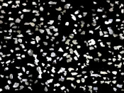 Metallix - Metallic  Light Sprinkle Broadcast Flakes