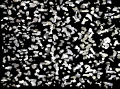 Metallix - Metallic Medium Sprinkle Broadcast Flakes
